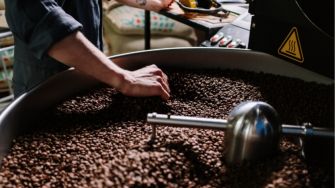 Bupati Ade Yasin Bilang Kabupaten Bogor Mampu Produksi Kopi Robusta Hingga 4000 Ton