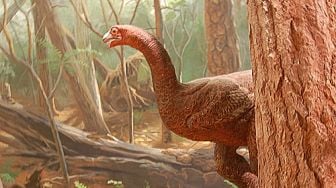 Fosil Berusia 125 Juta Tahun Ditemukan, Diduga Simpan DNA Dinosaurus