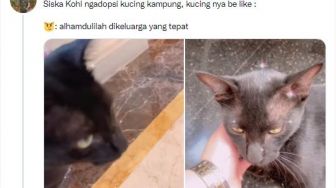 Sisca Kohl Adopsi Kucing Kampung, Harga Gelang di Tangannya Bikin Salah Fokus