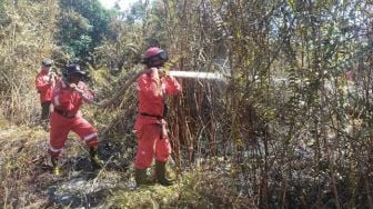 Manggala Agni Padamkan Kebakaran Lahan Sawit 1,5 Ha Milik Warga di Siak