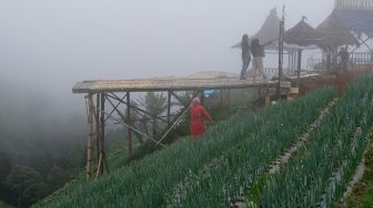 Pengunjung berada di kawasan pertanian sayuran di kawasan lereng gunung Sumbing, Dusun Nampan, Sukomakmur, Kajoran, Magelang, Jateng, Sabtu (9/10/2021).  ANTARA FOTO/Anis Efizudin