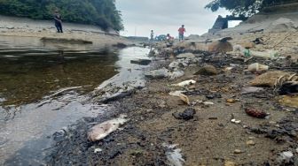 Terkuak! Misteri Ratusan Ikan di Telaga Sarangan Magetan Mati Mendadak