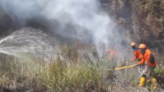 Kawasan Konservasi Gunung Bromo Diduga Sengaja Dibakar Orang Jahat
