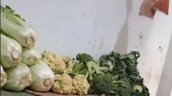 Kisah Wanita Ditolak Camer Viral, Hanya Kerja Jualan Sayur Tapi Mertua Minta PNS