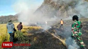 Bromo Dilanda Kebakaran, Belasan Hektare Hangus