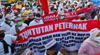 Gelar Aksi Damai, Peternak Tagih Janji Jokowi soal Pengadaan 30 Ribu Ton Jagung Pakan