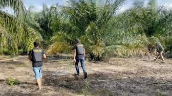 Gerebek Pondok di Area Kebun Sawit Dumai, Polda Riau Temukan 87 Kg Sabu