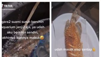 Jengkel Suami Tak Bersihkan Akuarium, Istrinya Goreng Ikan Arwana