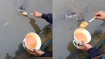 Viral Video Cewek Suapi Ikan Patin Pakai Seblak, Warganet: Melawan Hukum Alam!