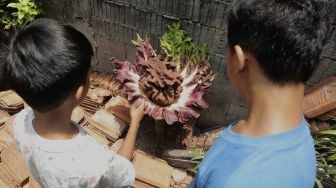 Dua anak melihat tanaman yang diduga bunga bangkai yang mekar di pekarangan rumah warga di Jalan Bunga Rampai RT 011 RW 003, Cipete Selatan, Cilandak, Jakarta, Selasa (12/10/2021). [Suara.com/Angga Budhiyanto]