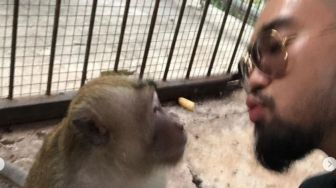 Influencer Pecinta Hewan Kunjungi Monyet Viral di Karawang