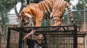 Dituding Campakan Mantan Istri, Alshad Ahmad Disindir: Anak Harimau Dikasih Makan Ratusan Juta, Anak Sendiri Dibuang