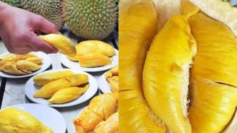Jenis-jenis Durian Tembaga Asli Indonesia, Berbiji Kecil, Berdaging Tebal