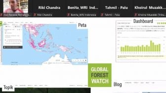 Global Forest Watch, Cara Praktis Memantau Kondisi Hutan Indonesia dengan Data