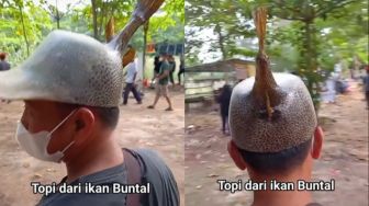 Ikan Buntal Dijadikan Topi, Warganet : Louis Vuitton Auto Ketar-ketir