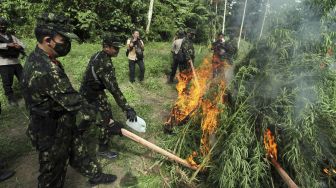 Direktur Narkotika Badan Narkotika Nasional (BNN) Brigjen Pol Aldrin Hutabarat (kiri) bersama personel BNN membakar batang tanaman ganja dalam penggerebekan ladang ganja di Dusun Cot Lawatu, Sawang, Kabupaten Aceh Utara, Aceh, Rabu (13/10/2021). [ANTARA FOTO/Rahmad]