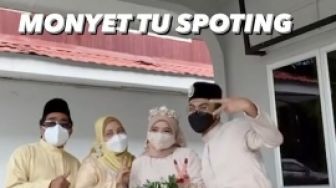 Viral Penampakan Monyet Saat Live Pernikahan di Instagram, Ternyata Salah Pilih Filter!