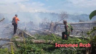 Faktor Angin, Kebakaran Lahan di Aceh Barat Meluas
