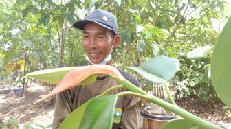 Kisah Penjaga Hutan Rawa Kidang TNWK, Sempat Dituduh Pelaku Pembakaran Hutan