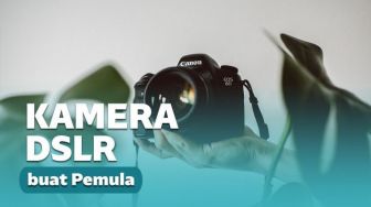 Kamera DSLR dengan Harga dan Specs Terbaik untuk Fotografer Pemula