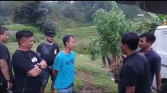 Kelabui Polisi, Iwan Patek Tanam Barang Haram di Sela-sela Pohon Cabai