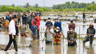 Walhi Sulawesi Selatan: Pemulihan Kawasan Mangrove Harus Didukung Aturan yang Kuat