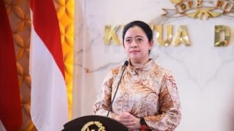 Habiskan Uang Rakyat, Puan Maharani Dukung Penutupan BUMN Sakit