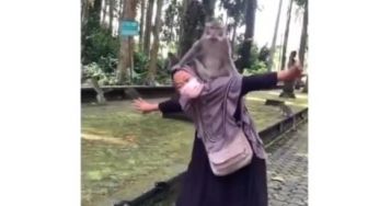 Viral, Video Emak-emak di Bali Ditumpangi Monyet Malah Joget, Monyetnya Takut