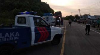 Lakalantas di Aceh Jaya meningkat, Salah Satu Penyebabnya Hewan Ternak