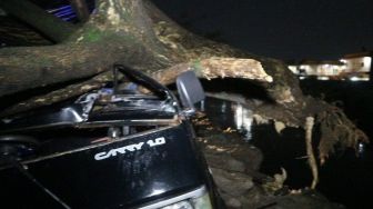Suzuki Carry Ringsek Tertimpa Pohon Tumbang di Gedebage Kota Bandung