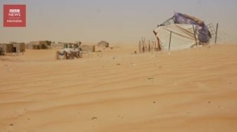 Hidup di Suhu 50 Derajat: Neraka Perubahan Iklim di Mauritania, Afrika