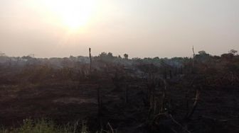 22 Titik Panas Terpantau di Sumatera, Riau Salah Satu Penyumbangnya