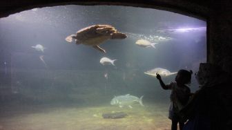 Orang tua mendampingi anaknya ke SeaWorld Ancol, Jakarta, Jumat (22/10/2021).  ANTARA FOTO/ Reno Esnir