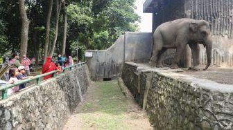 Warga berwisata sambil melihat satwa di Taman Margasatwa Ragunan, Jakarta Selatan, Sabtu (23/10/2021). [Suara.com/Alfian Winanto]