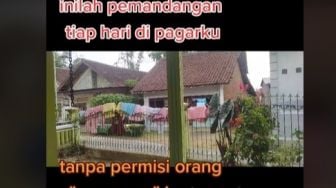 Pemilik Rumah Kesal Pagarnya Kerap Dipakai Jemur Baju Tetangga, Warganet Ikut Geregetan