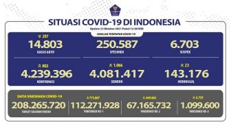 Update Covid-19 di RI: Kasus Sembuh 1.066, Positif 802 dan Meninggal 23 Orang