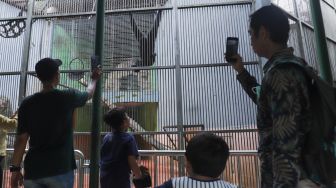 Hari Pertama Dibuka, 4.901 Pengunjung Serbu Ragunan