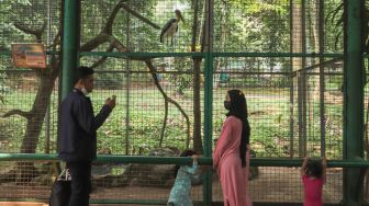 Warga berwisata sambil melihat satwa di Taman Margasatwa Ragunan, Jakarta Selatan, Sabtu (23/10/2021). [Suara.com/Alfian Winanto]