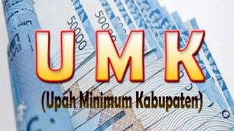 Buruh Usul UMK Lebak Rp3,5 Juta, SPN: Hidup Sejahtera