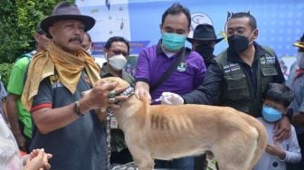 Kasus Rabies di Sumbar Masih Tinggi, Masuk 10 Besar Nasional