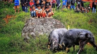Makna Tradisi Rambu Solo' di Toraja, Lebih dari Sekadar Ritual dengan Biaya Besar