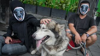 Relawan komunitas pecinta hewan melakukan aksi diam dengan topeng anjing di Solo, Jawa Tengah, Rabu (27/10/2021).  ANTARA FOTO/Mohammad Ayudha