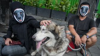 Protes Kematian Anjing Canon di Aceh Singkil, Rudimeong Gelar Aksi Diam