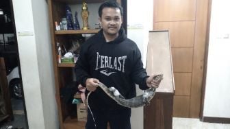 Seekor Biawak Terjebak di Kamar Mandi Warga di Denpasar Dini Hari