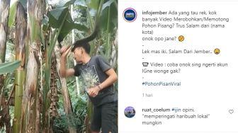 Viral Pukul Pisang 'Salam dari Binjai', Pemuda Ini Justru Lakukan Hal Beda