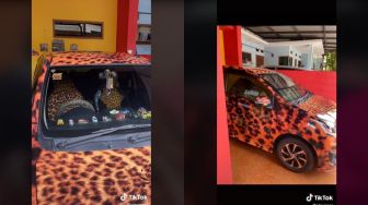 Kelewat Cinta Motif Macan, Koleksi Baju hingga Mobil Ibu Ini Bikin Geleng Kepala