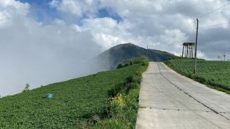 Menengok Eksotisnya Tol Kahyangan di Jawa Tengah, Pesonanya Bikin Mata Melek