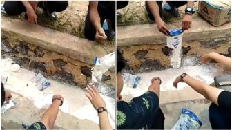 Viral Sekumpulan Pemuda Buang Tepung Kadaluarsa di Selokan, Tuai Perdebatan Warganet