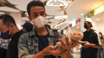 Pengunjung melihat pameran hewan Exotic Pet Expo di Senayan Park, Jakarta Pusat, Sabtu (30/10/2021). [Suara.com/Alfian Winanto]