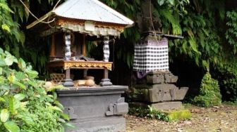 Cerita Magis Pura Beji Yeh Bubuh di Tabanan Bali, Mulai Penampakan Naga Hingga 3 Ular